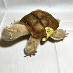 2026年最新】シュタイフ カメの人気アイテム - メルカリ