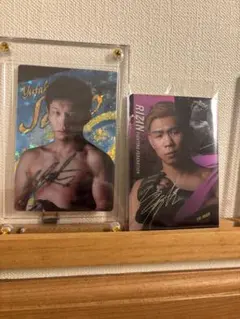 Item thumbnail for item db379504-0aab-4b7c-afa3-e74206219417