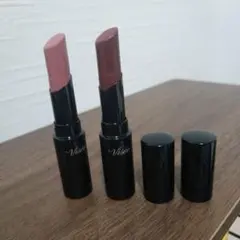 ヴィセ ネンマクフェイクルージュ PK 851 RD 450 2本セット