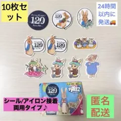 ピーターラビット 120周年記念 ワッペン シール アイロン両用のサムネイル