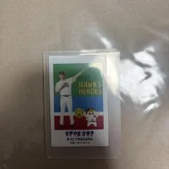 福岡ソフトバンクホークス すぎやまかずき クレヨンしんちゃん コラボ チェキ