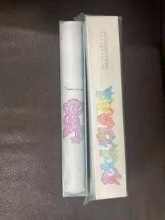 海外中国限定　イーブイギフトボックス　プレイマット　ケース付き