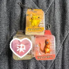 ポケモン ポケプラブリスターマスコットチャーム 2点セット