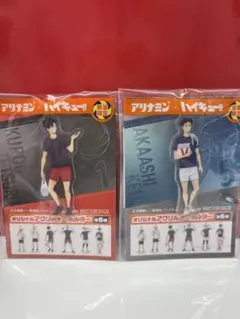 劇場版ハイキュー!! 読売ジャイアンツ ブラインド缶バッジ リエーフ