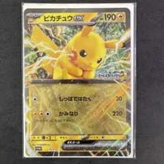 ポケモンメガスタンプラリー2025 ジャンボカード　ピカチュウex