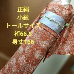 2026年最新】江戸小紋 トールサイズの人気アイテム - メルカリ