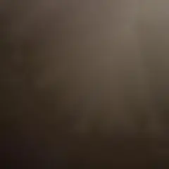くろ様専用