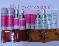 【匿名発送】薬用フラビア６点セット×２　新品　トライアルセット