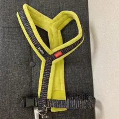 Item thumbnail for item 723d8fb4-ceba-4176-9fb9-c79a90c9d3d1