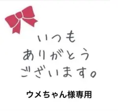 ウメちゃん様専用
