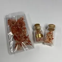 【さくら貝と珊瑚】3点セット