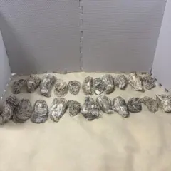 貝殻 牡蠣22個 DIYクラフト素材