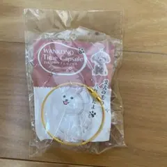 わんこのタイムカプセル　ラテ