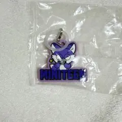 MINITEEN ガチャ　ウォヌ