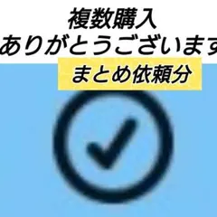 よっしー様 リクエスト 4点 まとめ商品