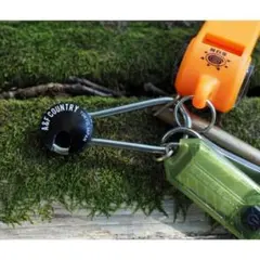 Item thumbnail for item 2f670542-a86e-4907-bbe7-85ab2800a090