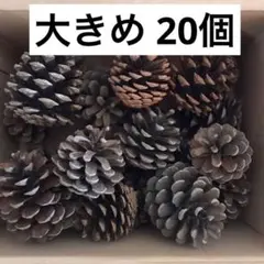 SHUNA様 リクエスト 4点 まとめ商品