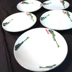昭和レトロ 手描きの陶磁器皿 5枚セット 中皿