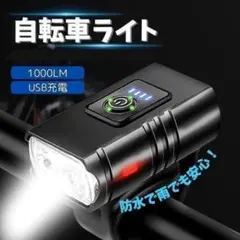 Item thumbnail for item 4983d736-9476-467a-924f-d16f572e117c