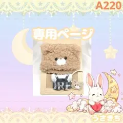A220【M様】チビちびぐるみサイズ ぬい服 オーダー くまさん帽子セット