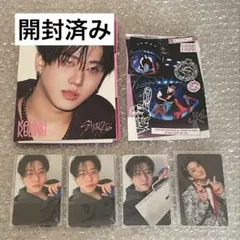 チャンビン KARMA アコーディオン