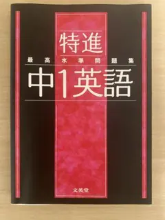 化学特講I (計算問題) 2025 夏期 - メルカリ