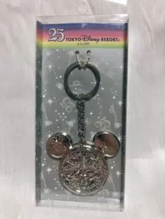 ディズニーリゾート 25周年 メダルキーチェーン