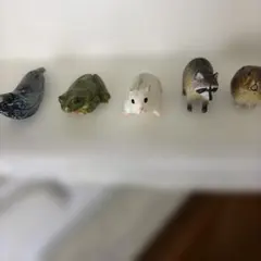 動物フィギュアセット（アザラシ、カエル、ハムスター、アライグマ、エゾナキウサギ」