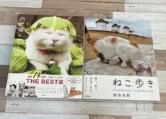 Item thumbnail for item e6065e45-5822-4875-840c-3b17d4d50660