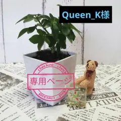 Item thumbnail for item ae1596fd-2be7-4930-95ed-61ced3e7ac8f