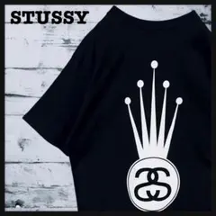 t545【美品】ステューシー ビッグプリント ロゴ Tシャツ 一点物 希少 人気