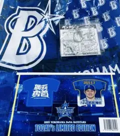 武田陸玖選手　横浜DeNAベイスターズ　観戦記念キーホルダー　5/3