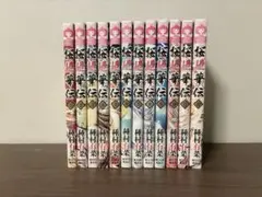 桜姫華伝 1-12巻 全巻セット 種村有菜 2-12巻のみ初版 特典付き 미개봉