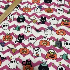 猫Love様専用】ハロウィン限定(=^・^=) BIG猫付きトートバッグ - メルカリ
