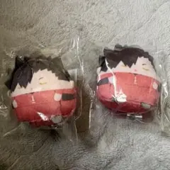 ハイキュー!! くじメイト ぬいくじ E賞 黒尾鉄朗 2個