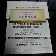 ヤマダ電機 お買物優待券 500円×10枚