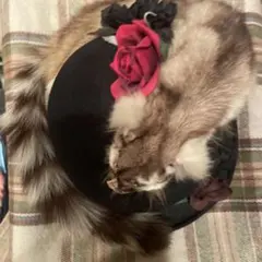 Item thumbnail for item 8e40aa11-ca5e-45e4-8266-ae6a6c023e13