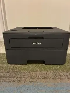 HL-L2365DW brother