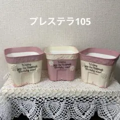 ☆多肉お値段交渉受付中☆様 リクエスト 2点 まとめ商品