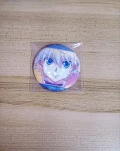 HUNTER×HUNTER Ani-Art キルア