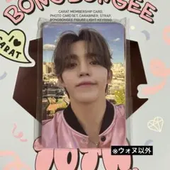 SEVENTEEN Membership メンシプ トレカ 12枚セット