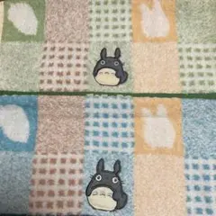 訳あり　となりのトトロ　ウォッシュタオル　2枚セット