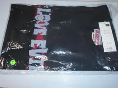 Item thumbnail for item 5675c1f8-3e02-4790-a5df-f5f226b063ef