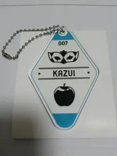 MILGRAM モチーフアクリルキーホルダー カズイ『half』