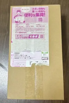 【新品シュリンク付き】ポケモンセンタースペシャルBOX ヒロシマ　ポケモンカード