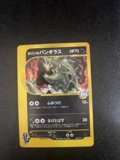 m97570282878_1.jpg?1771836768