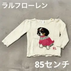 ラルフローレン 犬 18M(85センチ) アイボリー ニット