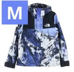 2025年最新】supreme ノースフェイス T 雪山の人気アイテム - メルカリ