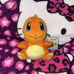 ポケットモンスター ヒトカゲ つれてってぬいぐるみ マスコット