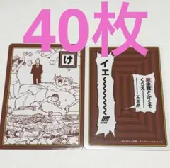 け　サレサレ　ジャンプフェスタ　ハンターハンター　かるた　カード　ブロマイド